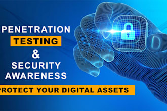 do professional penetration testing for web and app security