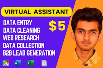 do ms excel data entry in low price, web research
