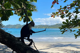 offer advice on travel and create customized travel plans
