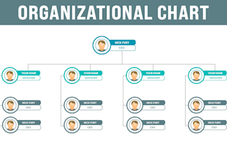 design org chart, flow chart, infographics and diagrams