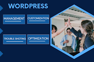 manage update, maintain, fix, optimize wordpress website