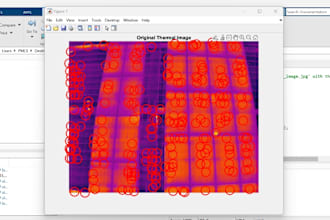 serve you in image and signal processing both in matlab and python