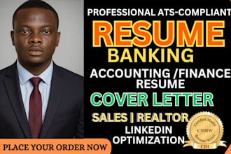 write your professional accountant and banking resume