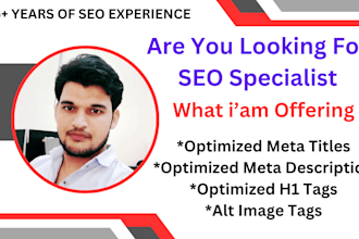 do on page website SEO optimization meta titles, description