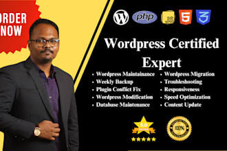 do maintenance and tech support for your wordpress website