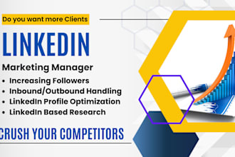 be your linkedin marketing manager and appointment setter