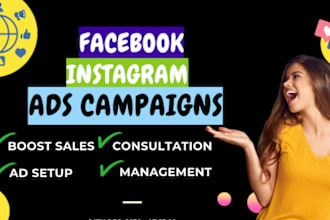 setup insta facbook ads campaigns, fb ads, fb ads manager