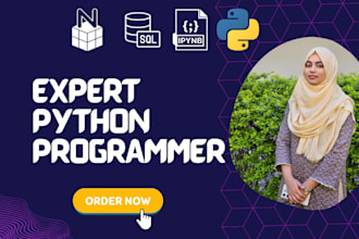 develop python programs, scripting, and gui algorithms for you