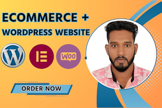 professionally design, rebuild or modify wordpress website