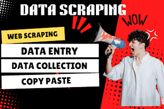 do web scraping, data scraping, and data entry