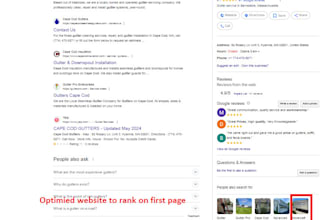 provide shopify SEO services to boost online sales on 1st page of search engine