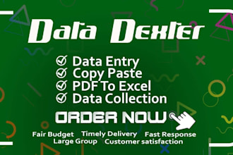 do professional data entry, web research, excel, copy paste