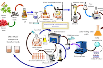 make scientific figures, graphical abstract and illustrations