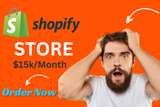create a branded one product shopify dropshipping store, shopify website