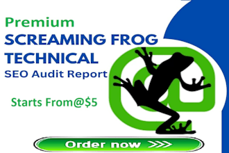 premium screaming frog technical SEO spider audit report