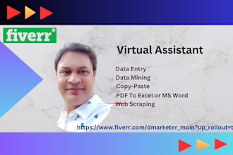 do data entry, copy paste, web scraping, and PDF file conversion