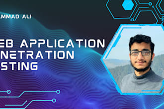 do web app penetration testing, vulnerability assessment