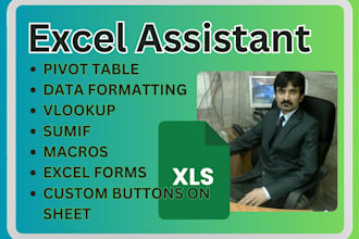 give excel macro service with formulas and functions service