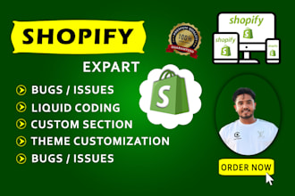 professional shopify store design and development