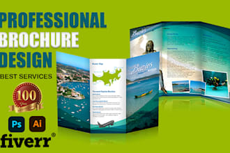 create  brochure, company profile, annual report, proposal, booklet,