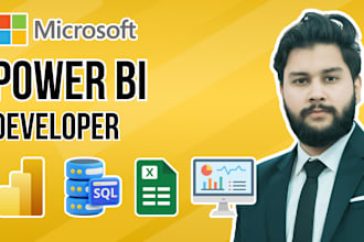 be your power bi developer and data analyst