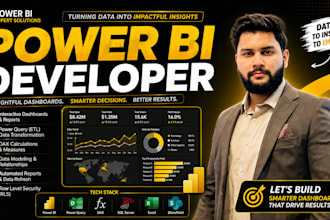 be your power bi developer and data analyst