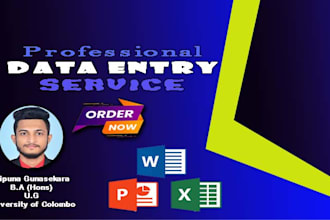 do create proffessional resume design