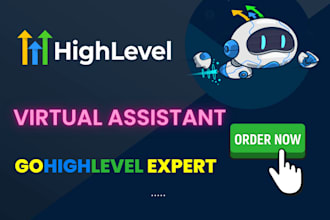 set up a sales funnel, website, and gain expertise in operating gohighlevel