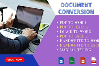 do file conversion, PDF to word or excel