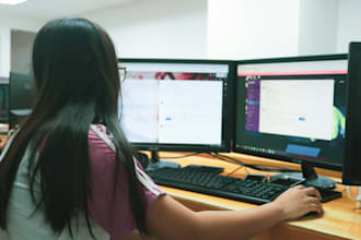 provide accurate and efficient data entry services for you