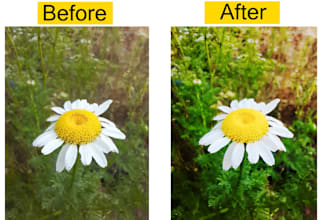 enhance image quality from low to HD professionally
