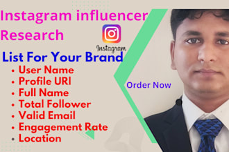 do data entry, copy paste, instagram influencer research with email provide
