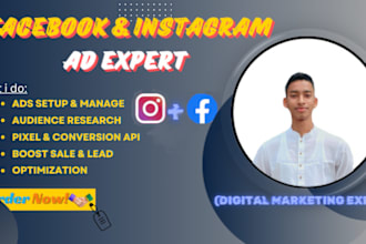 setup fb and ins adds campaigns with expertly
