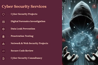 do cyber security assessment, project, research and digital forensics analysis