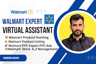 walmart virtual assistant  walmart expert for listing and PPC management