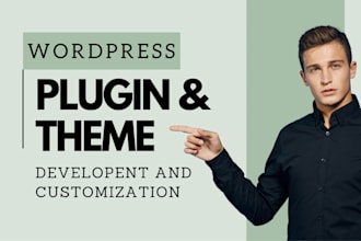 develop a professional grade wordpress plugin and theme for your website