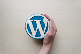 deliver your website in wordpress in just a snap