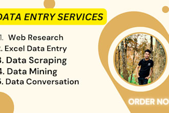 do data entry,copy paste,web research,excel data entry,PDF to excel