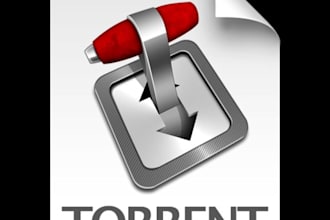 show you how to download torrents anonymously