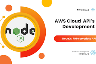 be your node js developer for apis and backend development