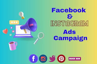 run facebook ads campaign, marketing and instagram promotion