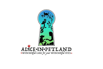 create a pet care logo there to your business