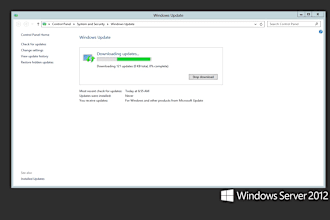 do remote windows server administration and support