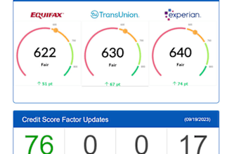 provide experian inquiries removal within 6 hours or less