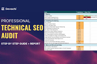 do a professional technical SEO audit for your website