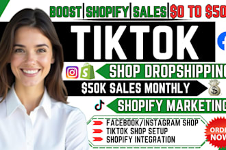 promote shopify store, manage ecommerce website marketing fb ig meta shop ads
