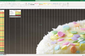 provide coaching and business advice for any excel project