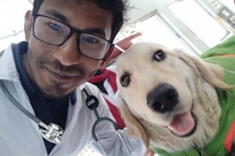 write dog training blog and article