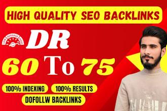 provide monthly offpage SEO services with premium baclinks