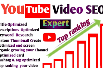 do youtube video SEO expart and optimize channel